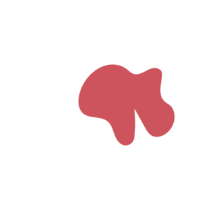 786e3e9f-placeholder-1770021998