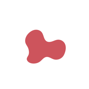 D6aab898-placeholder-1770052639