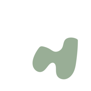 68b61d06-placeholder-1770056198