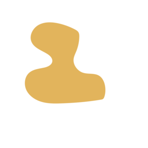 9ce41fe4-placeholder-1770056222