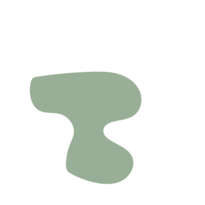 C0410c65-placeholder-1770009353