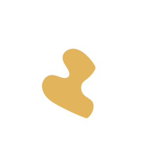 572f0b8b-placeholder-1770004997