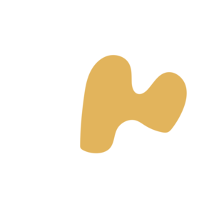 0557f6df-placeholder-1769405191