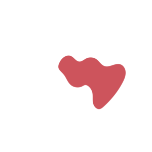 3ec0727e-placeholder-1770030780