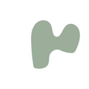 250202b1-placeholder-1770026876