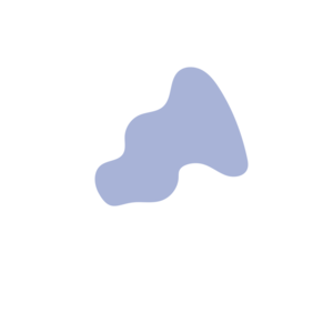 F511186b-placeholder-1769762736