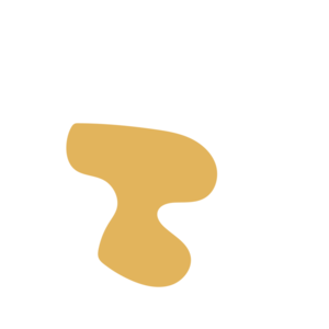 F664d038-placeholder-1770052834