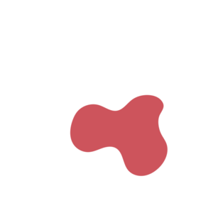 Aa25a165-placeholder-1770028234