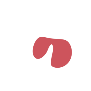 80d31519-placeholder-1770006913