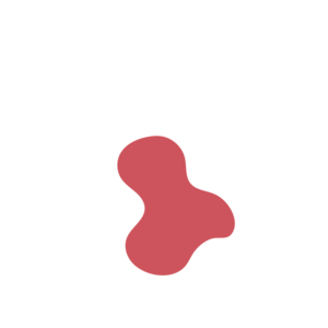 7fe2d1bf-placeholder-1770084916