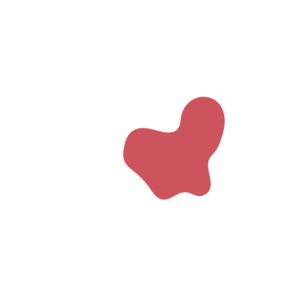 56f6f669-placeholder-1770025732