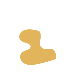 1c140c3d-placeholder-1770016465