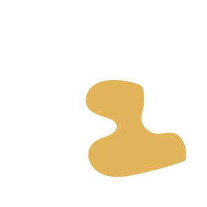 63f4c459-placeholder-1770039121