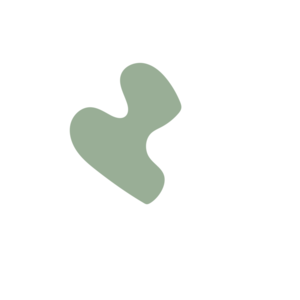 11d11b0c-placeholder-1770019363