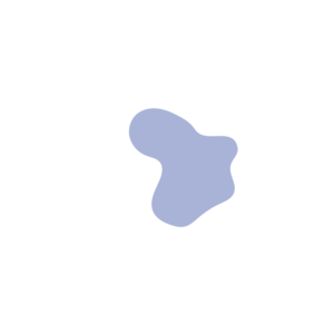 036e926b-placeholder-1769016387