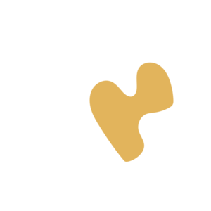 32480f6f-placeholder-1769342732