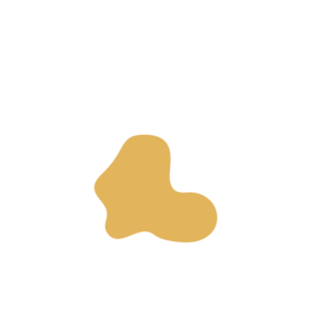 61940b7b-placeholder-1770012063