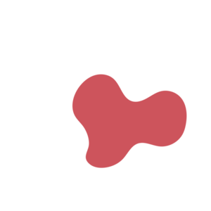 94c835b4-placeholder-1770018140