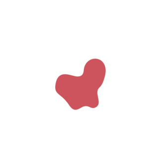 Bfb7adf7-placeholder-1770014239