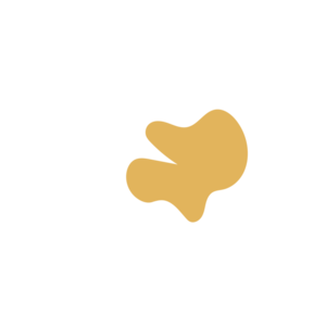 C5d20794-placeholder-1770054274