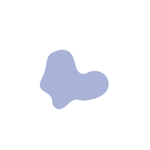 F3020a5e-placeholder-1770052636