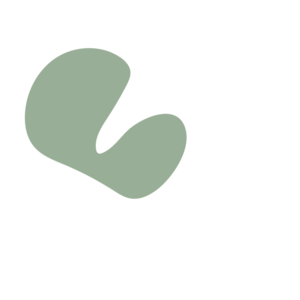 179ee78d-placeholder-1770054327