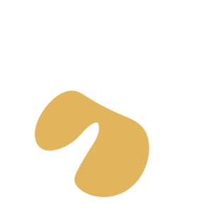 0cb41b87-placeholder-1770056179