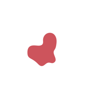 Ecaa01f8-placeholder-1770017437