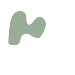 85275543-placeholder-1770089763