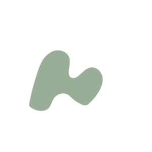 773a1f77-placeholder-1770056218