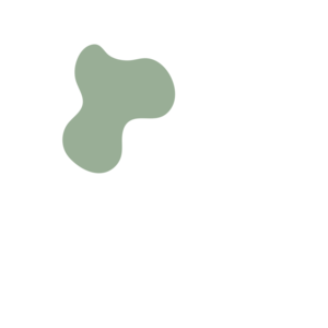 642e66e9-placeholder-1769024819