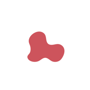 B511d99b-placeholder-1770010342