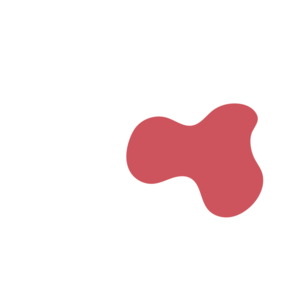 3ec549cc-placeholder-1770018449