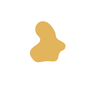 934535dc-placeholder-1770011304