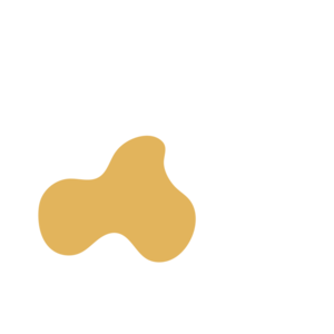 9db33939-placeholder-1770015279