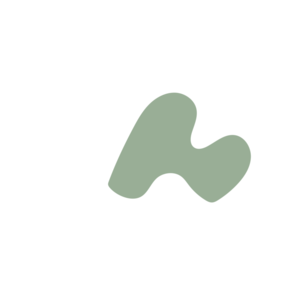 5fb1a7e8-placeholder-1770006215