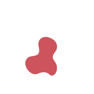 A456e288-placeholder-1770006207