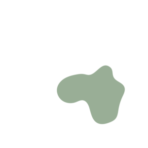 5484a008-placeholder-1770023204