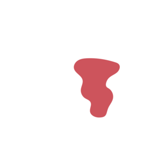 Be1b8555-placeholder-1770013647