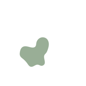 945df1f5-placeholder-1770020994