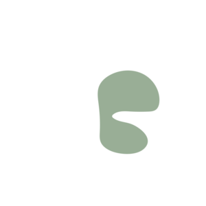 D547e5b8-placeholder-1770056421