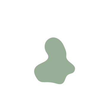 1258e789-placeholder-1770282575