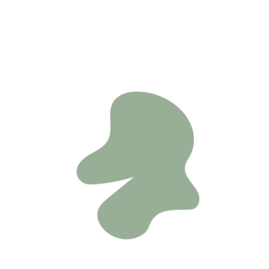 Bd9f6894-placeholder-1770006281