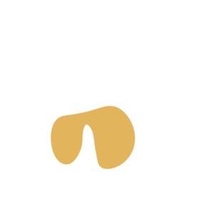 7fb56a46-placeholder-1770026202