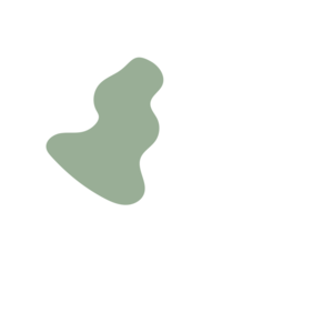 Dade4eb0-placeholder-1770023887