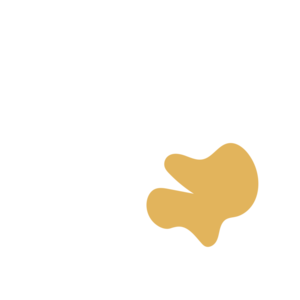 396b5368-placeholder-1770008115