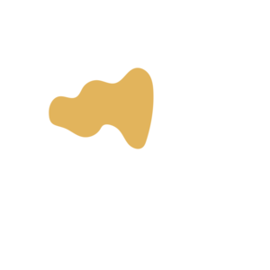 8473446b-placeholder-1770009556