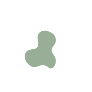 1609818c-placeholder-1769995036