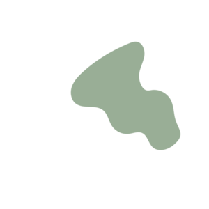 54e24db1-placeholder-1770032886