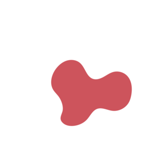 4c9ff650-placeholder-1770050358